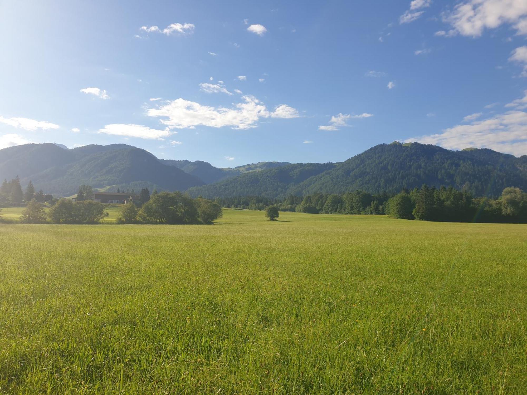 Appartementhaus Huettenberger エルフェンドルフ エクステリア 写真